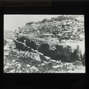 Böhl glass slide 61.3/1882